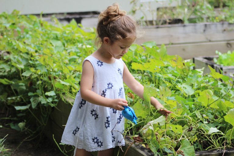 Gardening Statistics