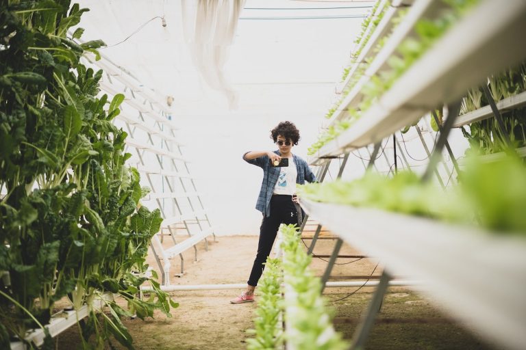 hydroponic systems