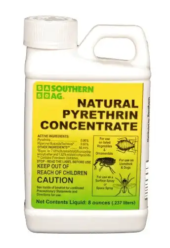 Natural Pyrethrin Concentrate, 8oz