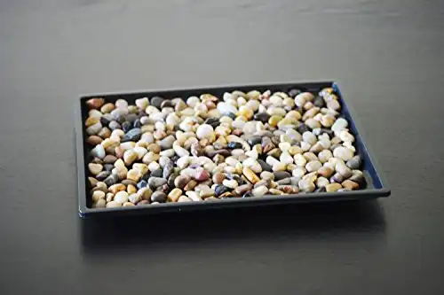 Humidity Pebble Tray - with Natural Pebbles