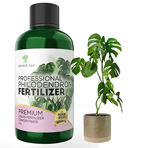 Professional Liquid Philodendron Plant Fertilizer | 3-1-2 Concentrate