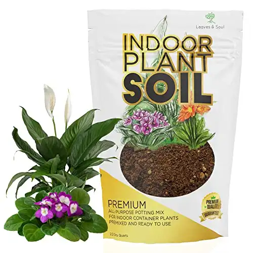 Indoor Plant Soil Premium All Purpose Blend | Large 2.2 Quarts | Peat, Coco Coir, Perlite, Dolomite | Made in USA
