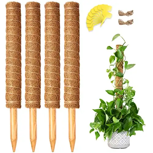 Moss Pole for Plants - 4 Pack