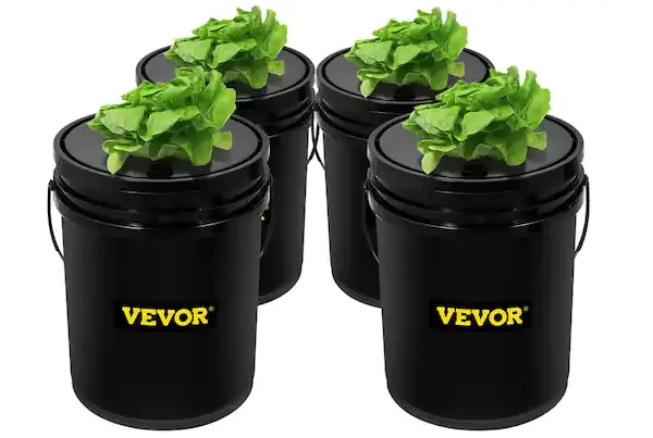 best hydroponic system for lettuce