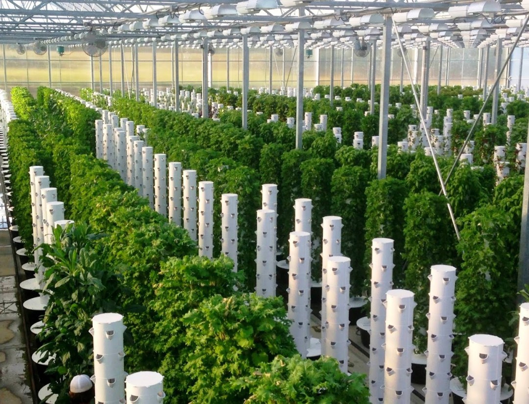 The Best Commercial Vertical Hydroponic Systems: Maximizing Space And ...