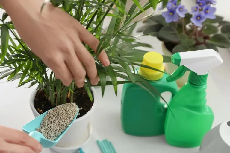 how long does it take for granular fertilizer to dissolve