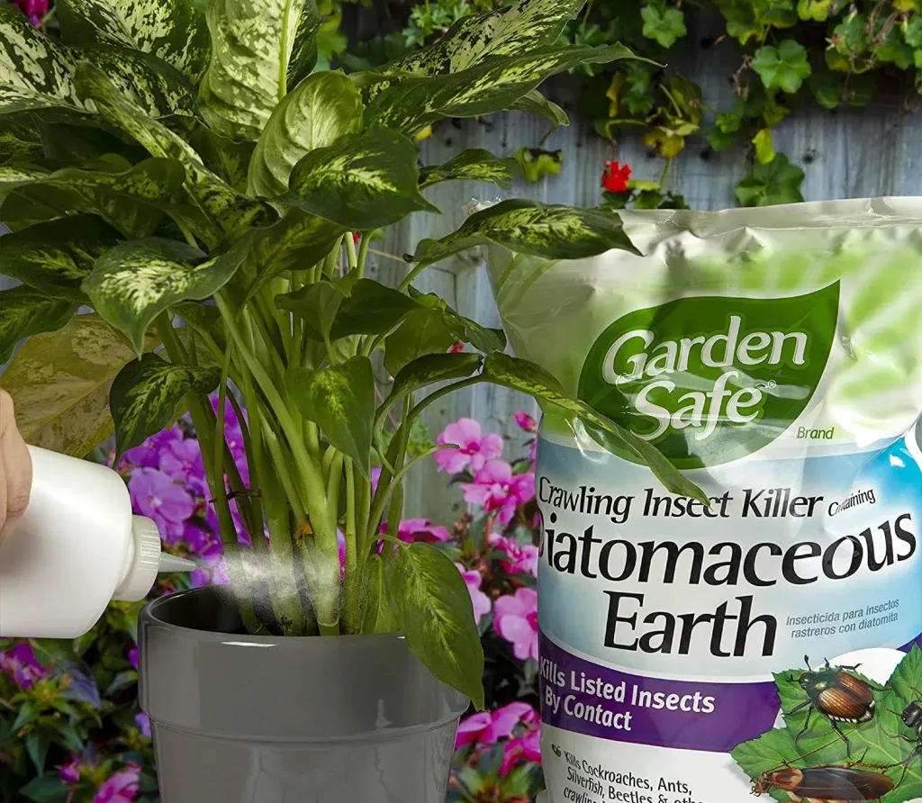 Garden Safe Diatomaceous Earth