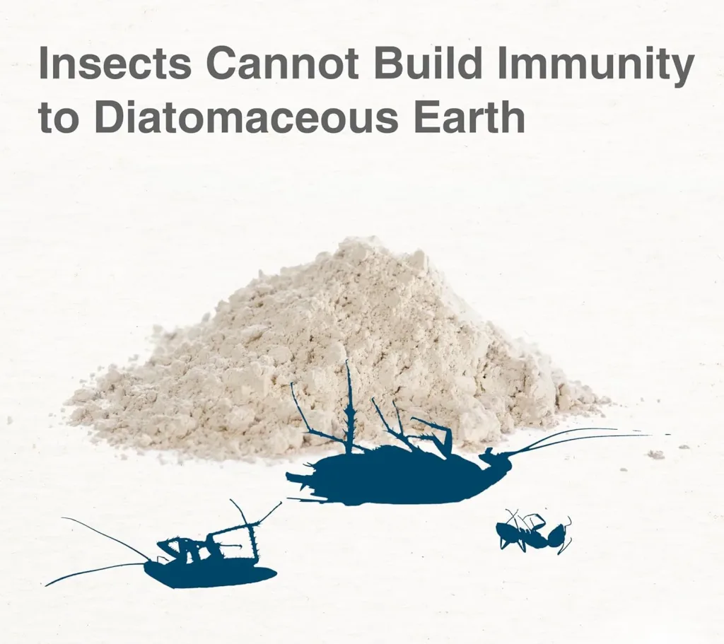 Diatomaceous Earth as Pest Control